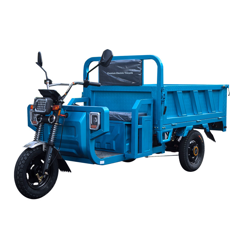 Electric tricycle household sc - đánh giá và giá Power Tools King
