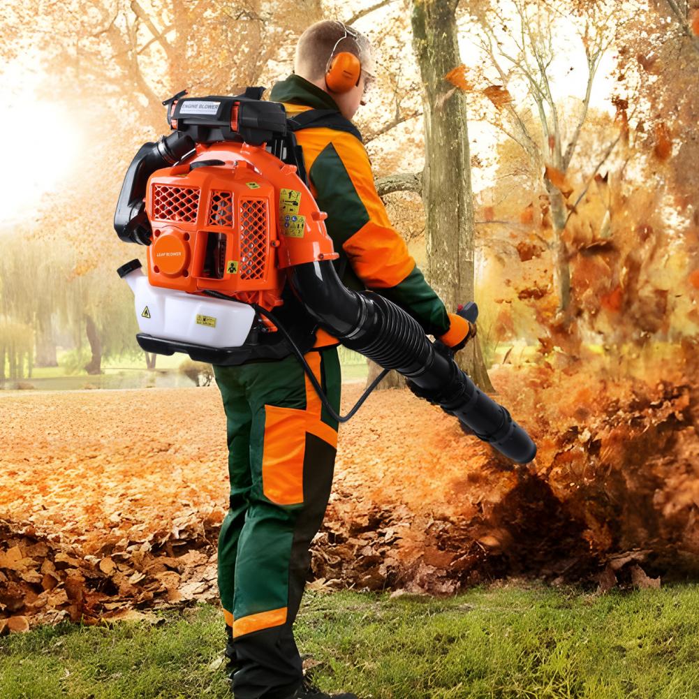 80CC Backpack Gas Leaf Blower, - đánh giá và giá Power Tools Yard